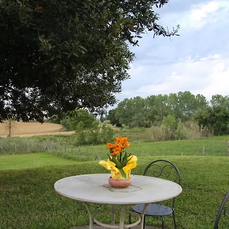 Country House Podere Le Rane Felici